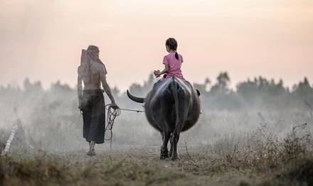 Le Sud Thaïlande loin des sentiers battus